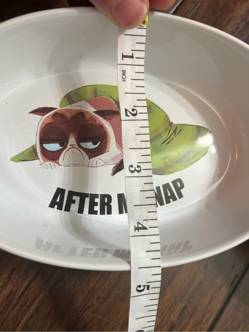 Two Grumpy Cat Ceramic Pet Bowls